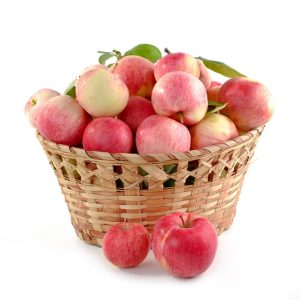 Apple GT6102 KASHMIR