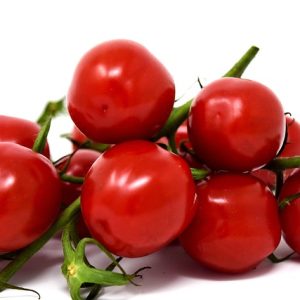 Tomatoes GT6102