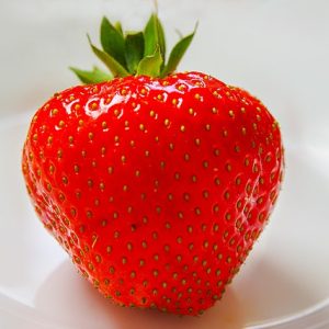 Strawberries GT6102