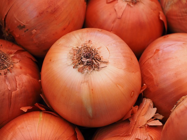 Onion GT6102 - Image 4